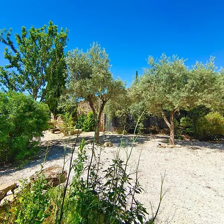 Rue Du Chateau A D'avignon